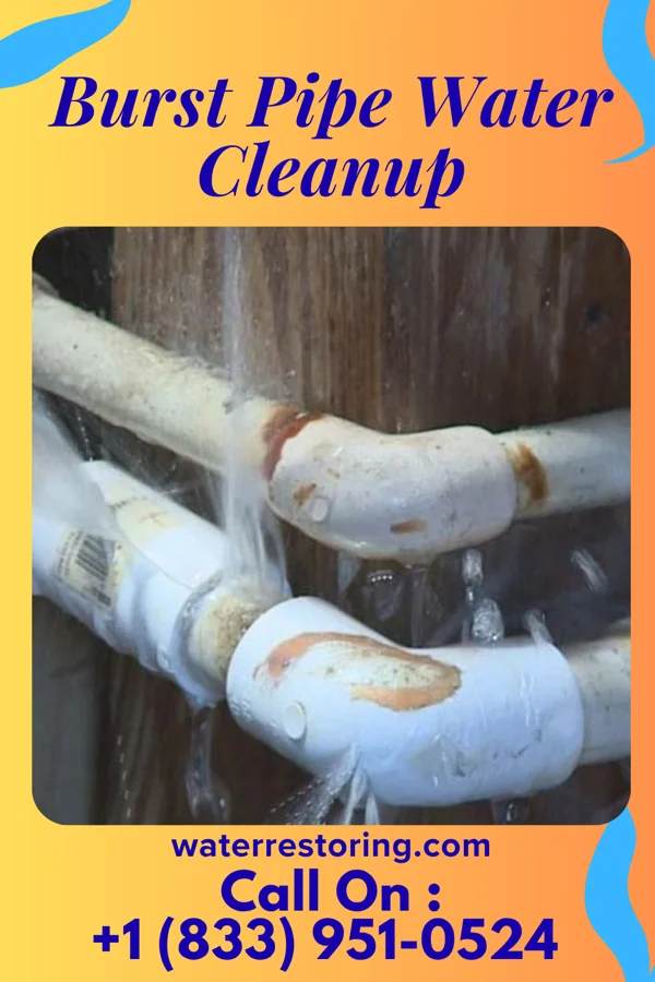 Burst Pipe Water Cleanup in Chester, NY