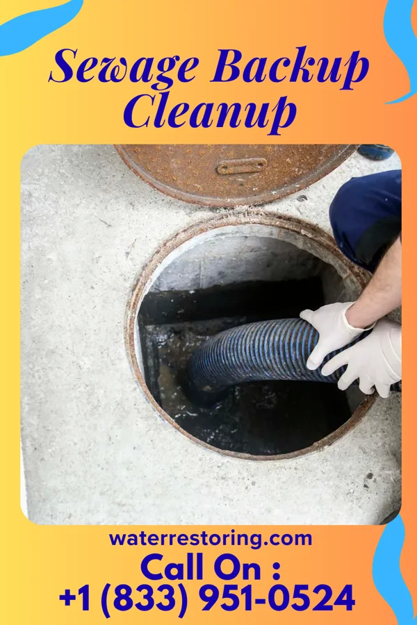 Sewage Backup Cleanup in Chester, NY