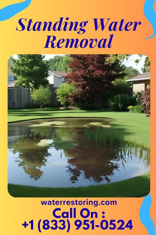 Standing Water Removal in Chester, NY
